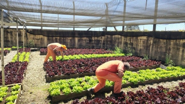 Fotos: Ascom Polícia Penal/Divulgação